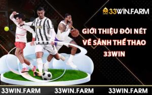 Giới thiệu đôi nét về sảnh thể thao 33Win